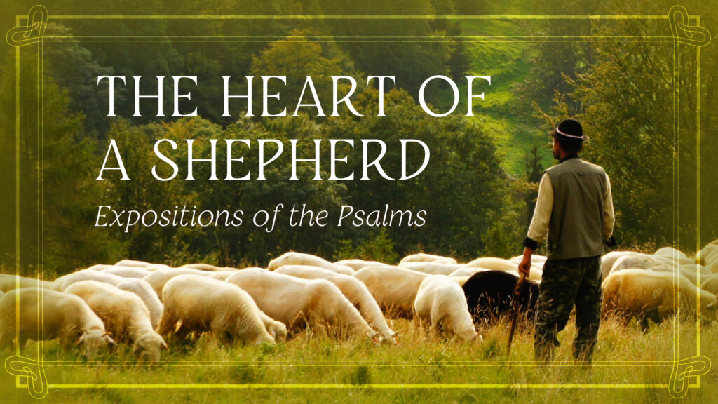 The Heart of a Shepherd: Expositions of the Psalms